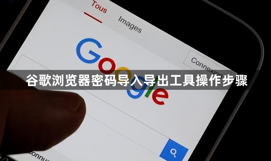 谷歌浏览器密码导入导出工具操作步骤1