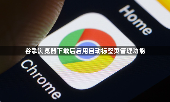 谷歌浏览器下载后启用自动标签页管理功能1