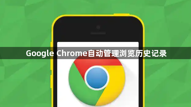 Google Chrome自动管理浏览历史记录1
