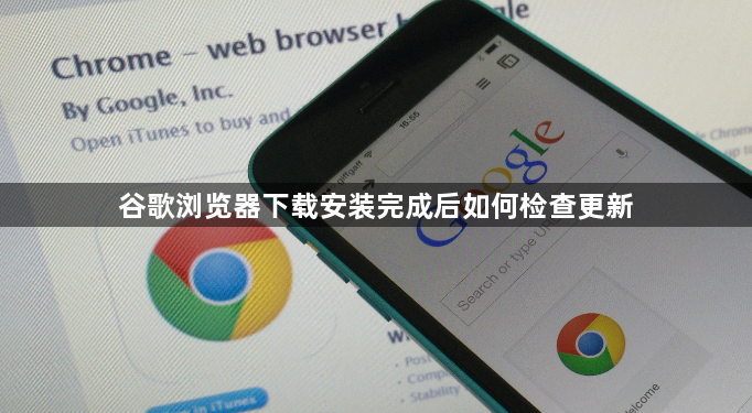 谷歌浏览器下载安装完成后如何检查更新1