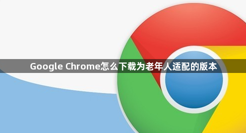 Google Chrome怎么下载为老年人适配的版本1