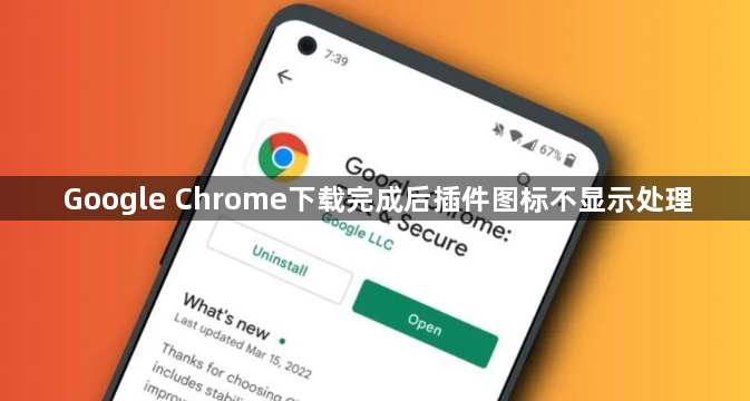 Google Chrome下载完成后插件图标不显示处理1