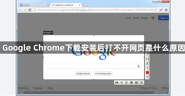 Google Chrome下载安装后打不开网页是什么原因1