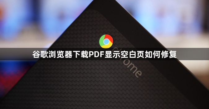 谷歌浏览器下载PDF显示空白页如何修复1