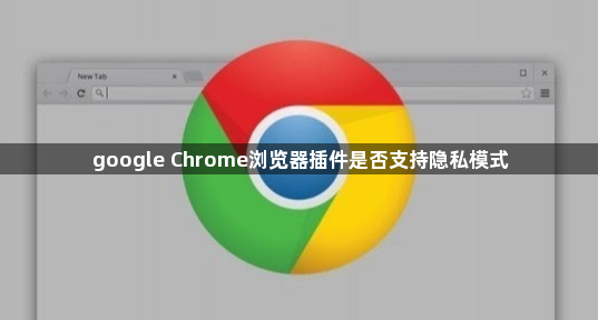 google Chrome浏览器插件是否支持隐私模式1