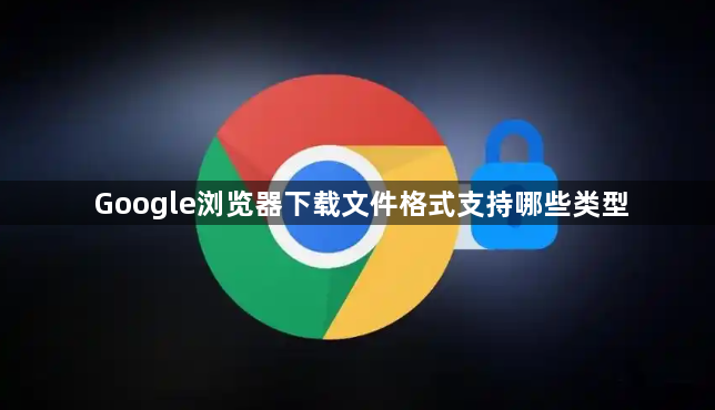 Google浏览器下载文件格式支持哪些类型1