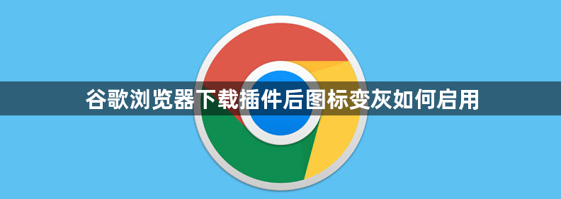 谷歌浏览器下载插件后图标变灰如何启用1