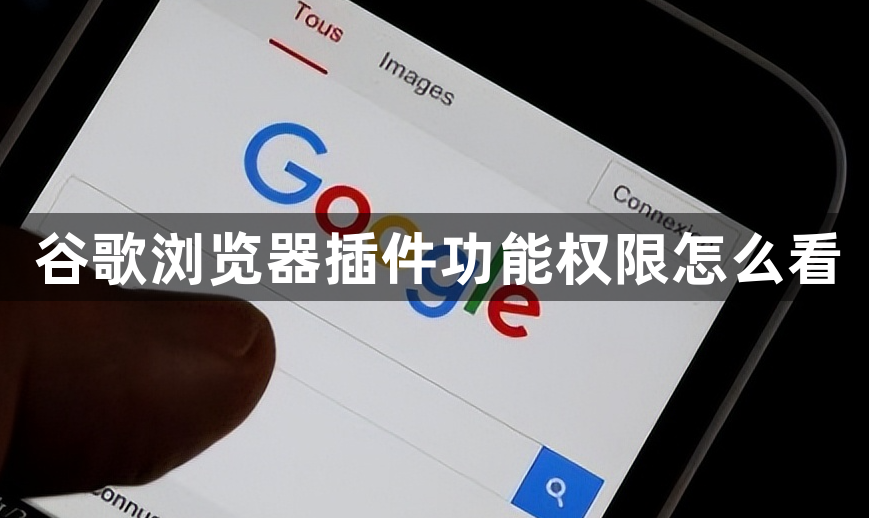 谷歌浏览器插件功能权限怎么看1