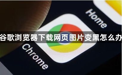 谷歌浏览器下载网页图片变黑怎么办1