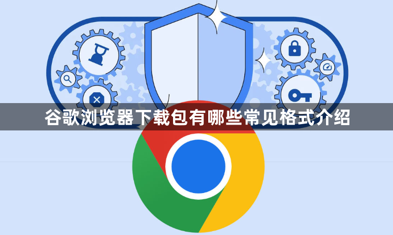 谷歌浏览器下载包有哪些常见格式介绍1