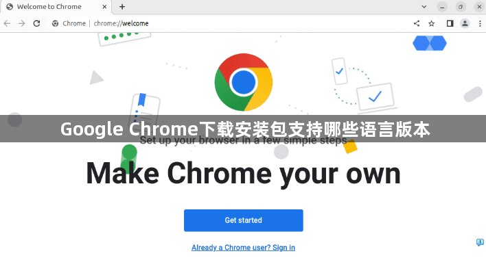 Google Chrome下载安装包支持哪些语言版本1