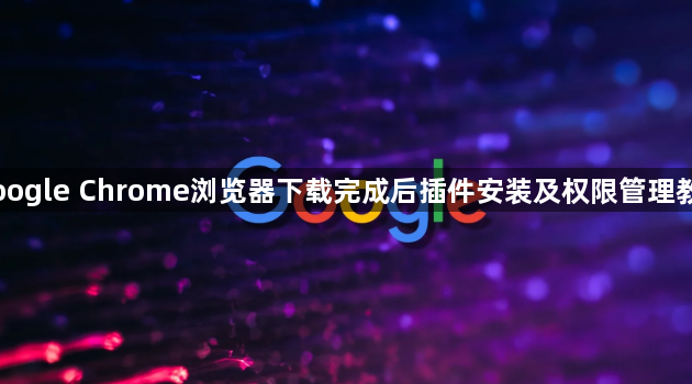 Google Chrome浏览器下载完成后插件安装及权限管理教程1
