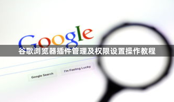 谷歌浏览器插件管理及权限设置操作教程1