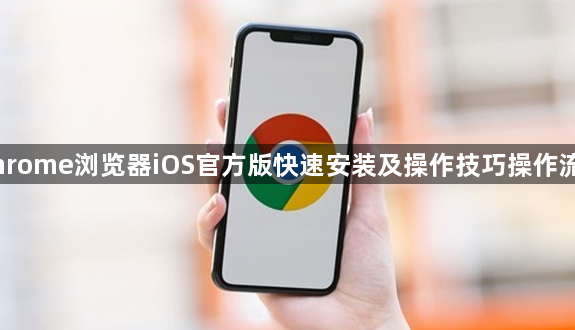 Chrome浏览器iOS官方版快速安装及操作技巧操作流程1