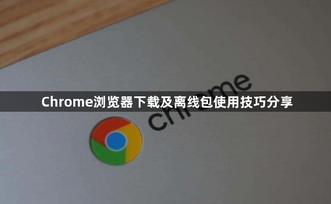 Chrome浏览器下载及离线包使用技巧分享1
