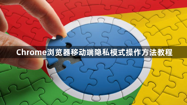 Chrome浏览器移动端隐私模式操作方法教程1