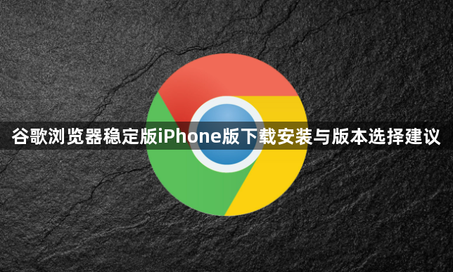 谷歌浏览器稳定版iPhone版下载安装与版本选择建议1