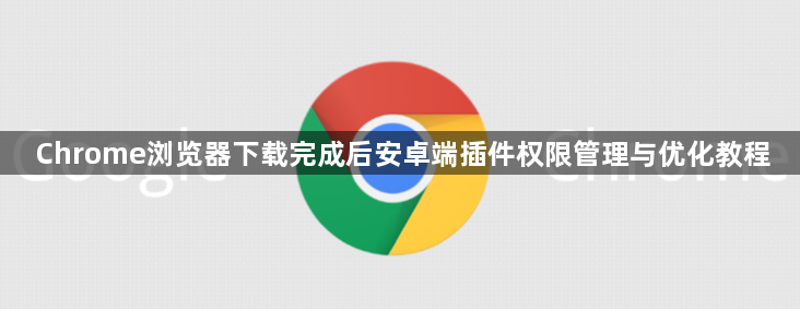 Chrome浏览器下载完成后安卓端插件权限管理与优化教程1