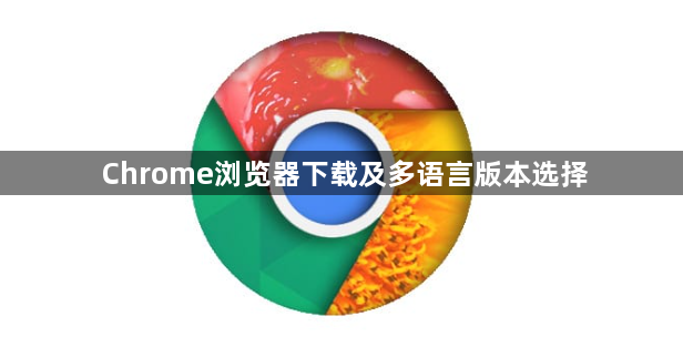 Chrome浏览器下载及多语言版本选择1