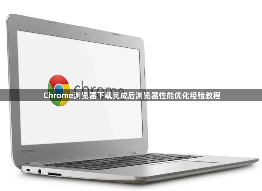 Chrome浏览器下载完成后浏览器性能优化经验教程1