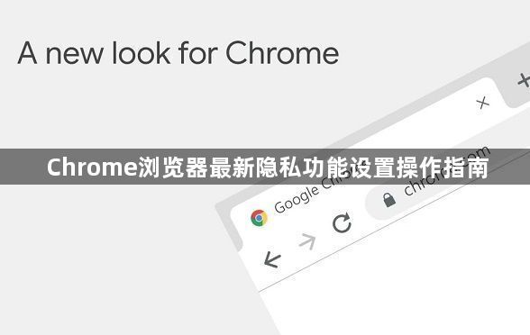 Chrome浏览器最新隐私功能设置操作指南1