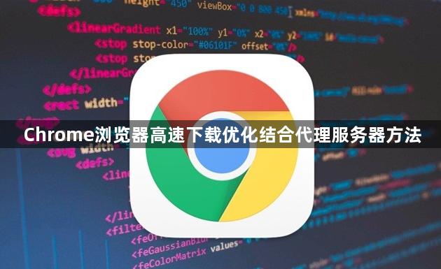 Chrome浏览器高速下载优化结合代理服务器方法1