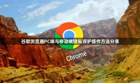 谷歌浏览器PC端与移动端隐私保护操作方法分享1
