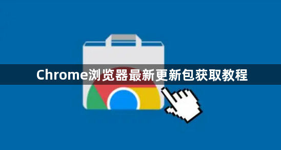 Chrome浏览器最新更新包获取教程1