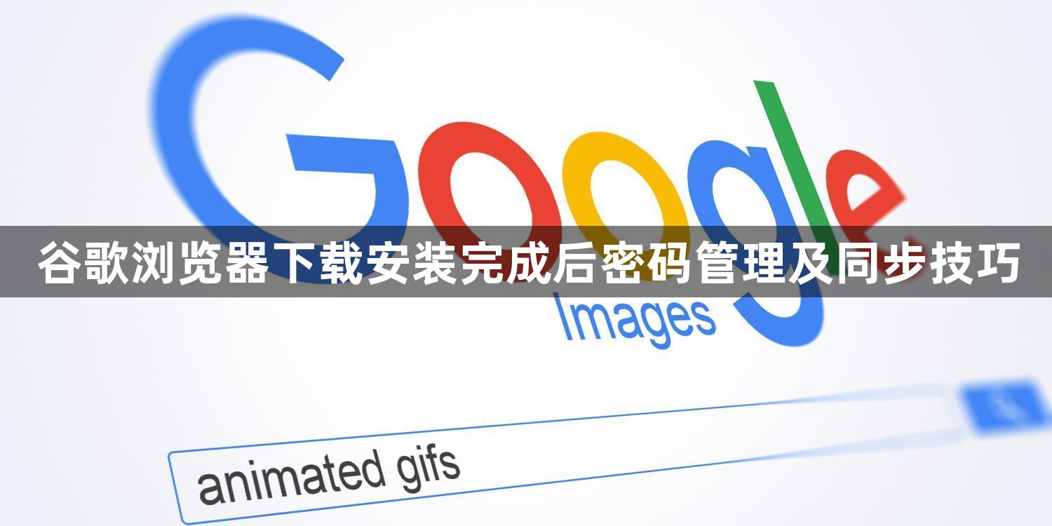 谷歌浏览器下载安装完成后密码管理及同步技巧1