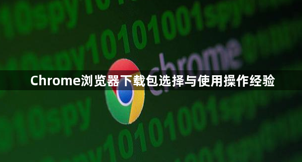 Chrome浏览器下载包选择与使用操作经验1