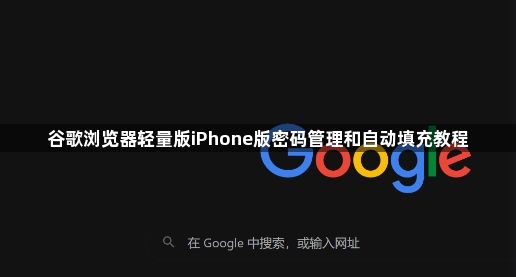 谷歌浏览器轻量版iPhone版密码管理和自动填充教程1