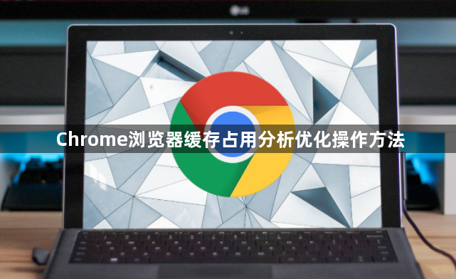 Chrome浏览器缓存占用分析优化操作方法1